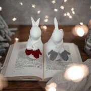 ヒメ日記 2025/11/04 14:18 投稿 谷村(たにむら) 八王子人妻城