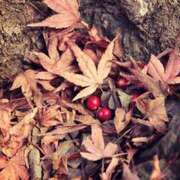 ヒメ日記 2025/11/11 14:33 投稿 谷村(たにむら) 八王子人妻城