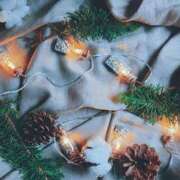 ヒメ日記 2025/11/13 08:03 投稿 谷村(たにむら) 八王子人妻城