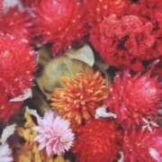 ヒメ日記 2026/01/09 15:03 投稿 谷村(たにむら) 八王子人妻城