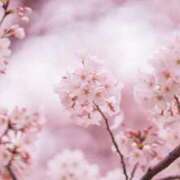 ヒメ日記 2026/02/24 08:03 投稿 谷村(たにむら) 八王子人妻城