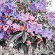 ヒメ日記 2026/02/24 14:18 投稿 谷村(たにむら) 八王子人妻城