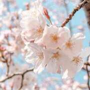 谷村(たにむら) ☆ありがとう 八王子人妻城