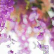 ヒメ日記 2026/03/10 08:12 投稿 谷村(たにむら) 八王子人妻城