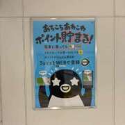 ヒメ日記 2025/01/16 07:14 投稿 あずみ 桃李（とうり）