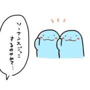 ヒメ日記 2025/02/09 11:44 投稿 あずみ 桃李（とうり）