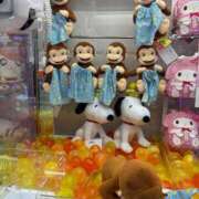 ヒメ日記 2025/03/11 14:04 投稿 あずみ 桃李（とうり）