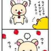 ヒメ日記 2025/08/21 15:04 投稿 あずみ 桃李（とうり）