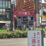 ヒメ日記 2025/09/08 19:24 投稿 あずみ 桃李（とうり）