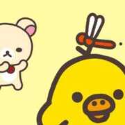 ヒメ日記 2025/09/16 12:45 投稿 あずみ 桃李（とうり）