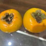 ヒメ日記 2025/10/21 18:34 投稿 あずみ 桃李（とうり）