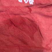 ヒメ日記 2025/03/08 09:44 投稿 さりな 激安ソープの殿堂　ボイン・ホーテ