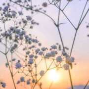 ヒメ日記 2025/08/03 19:54 投稿 ひとみ すごいエステ 名古屋店