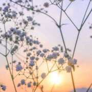 ヒメ日記 2025/08/07 23:15 投稿 ひとみ すごいエステ 名古屋店