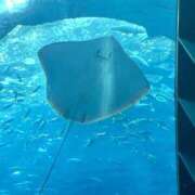 ヒメ日記 2025/12/25 10:27 投稿 ひとみ すごいエステ 名古屋店