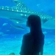 ヒメ日記 2026/01/01 16:05 投稿 ひとみ すごいエステ 名古屋店