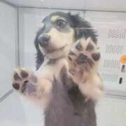 ヒメ日記 2026/02/12 14:35 投稿 ひとみ すごいエステ 名古屋店