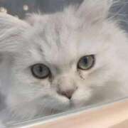 ヒメ日記 2026/02/25 21:55 投稿 ひとみ すごいエステ 名古屋店