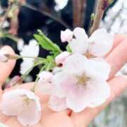 ヒメ日記 2026/03/31 22:05 投稿 ひとみ すごいエステ 名古屋店