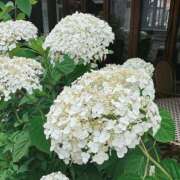 ヒメ日記 2026/06/07 23:05 投稿 ひとみ すごいエステ 名古屋店