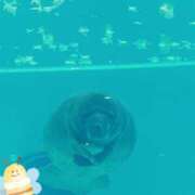 ヒメ日記 2025/04/01 09:09 投稿 じゅり 土浦ハッピーマットパラダイス