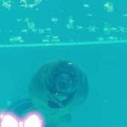 ヒメ日記 2025/05/01 09:07 投稿 じゅり 土浦ハッピーマットパラダイス