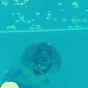 ヒメ日記 2025/06/02 08:47 投稿 じゅり 土浦ハッピーマットパラダイス