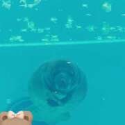 ヒメ日記 2025/07/01 09:07 投稿 じゅり 土浦ハッピーマットパラダイス