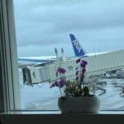 ヒメ日記 2025/07/27 14:08 投稿 じゅり 土浦ハッピーマットパラダイス