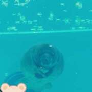 ヒメ日記 2025/08/01 10:37 投稿 じゅり 土浦ハッピーマットパラダイス