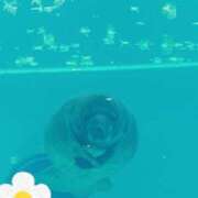 ヒメ日記 2025/10/01 08:57 投稿 じゅり 土浦ハッピーマットパラダイス