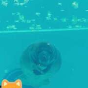 ヒメ日記 2025/11/06 09:07 投稿 じゅり 土浦ハッピーマットパラダイス