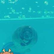 ヒメ日記 2025/12/04 09:04 投稿 じゅり 土浦ハッピーマットパラダイス