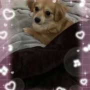 じゅり こんにちは♡ 土浦ハッピーマットパラダイス