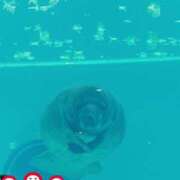 ヒメ日記 2026/01/04 09:08 投稿 じゅり 土浦ハッピーマットパラダイス