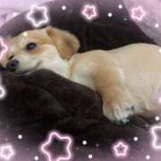 ヒメ日記 2026/01/07 09:07 投稿 じゅり 土浦ハッピーマットパラダイス