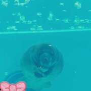 ヒメ日記 2026/02/01 08:07 投稿 じゅり 土浦ハッピーマットパラダイス