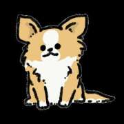 ヒメ日記 2026/02/20 16:47 投稿 じゅり 土浦ハッピーマットパラダイス