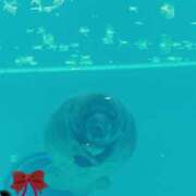 ヒメ日記 2026/03/01 08:37 投稿 じゅり 土浦ハッピーマットパラダイス