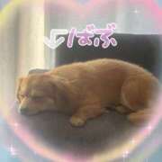 ヒメ日記 2026/03/04 20:07 投稿 じゅり 土浦ハッピーマットパラダイス