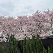 ヒメ日記 2026/04/13 08:57 投稿 じゅり 土浦ハッピーマットパラダイス