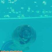 ヒメ日記 2026/05/02 09:09 投稿 じゅり 土浦ハッピーマットパラダイス