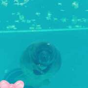 ヒメ日記 2026/06/06 09:07 投稿 じゅり 土浦ハッピーマットパラダイス
