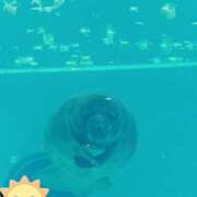 ヒメ日記 2026/07/01 08:57 投稿 じゅり 土浦ハッピーマットパラダイス