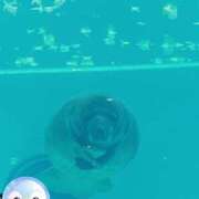 ヒメ日記 2026/09/04 09:07 投稿 じゅり 土浦ハッピーマットパラダイス