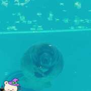 ヒメ日記 2026/10/09 09:07 投稿 じゅり 土浦ハッピーマットパラダイス