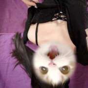 ヒメ日記 2025/04/28 14:14 投稿 姫川 なのか SUMIRE