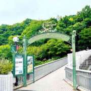 ヒメ日記 2025/05/22 13:09 投稿 あいら 阪神人妻花壇