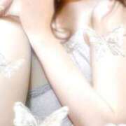 ヒメ日記 2025/08/09 09:57 投稿 あいら 神戸人妻花壇