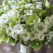 ヒメ日記 2025/12/17 22:13 投稿 あいら 神戸人妻援護会